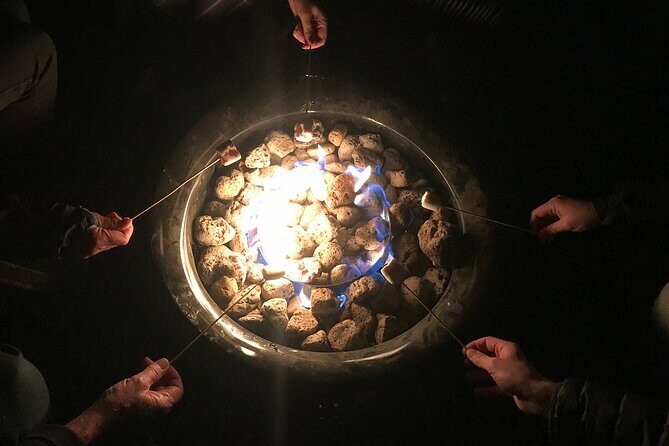 Chameleon Stargazing Shared Tour - Who Should Consider This Tour?