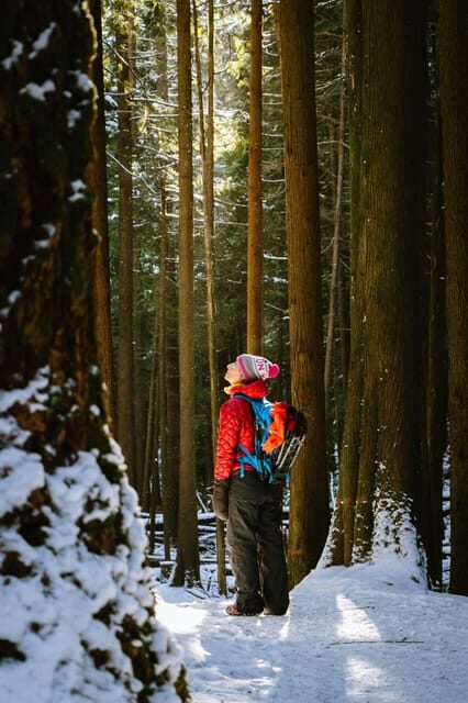 Chamonix: Snowshoeing with Local Cheese & Wine Tasting - The Itinerary: A Well-Curated Alpine Journey