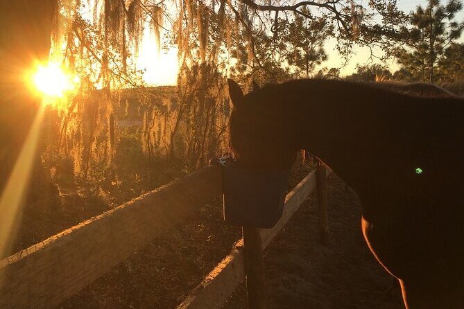 Champagne and Charcuterie Sunset Trail Ride - What to Expect from the Champagne and Charcuterie Sunset Trail Ride