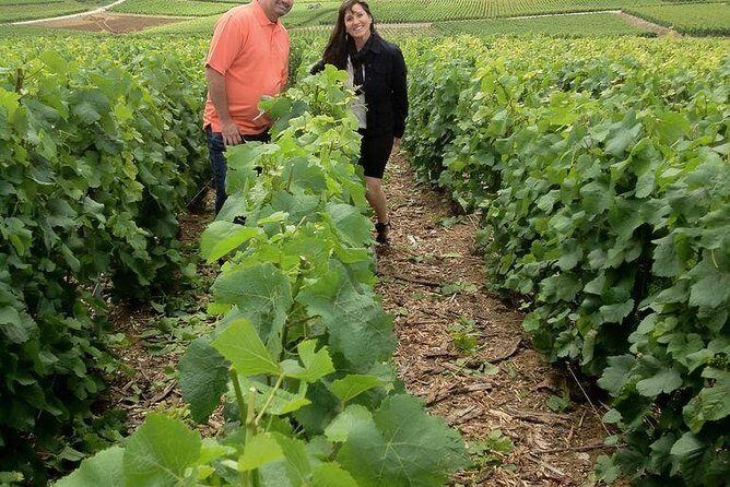 Champagne Area Small-Group Tour including a Top Champagne house & Family Winery - Key Points