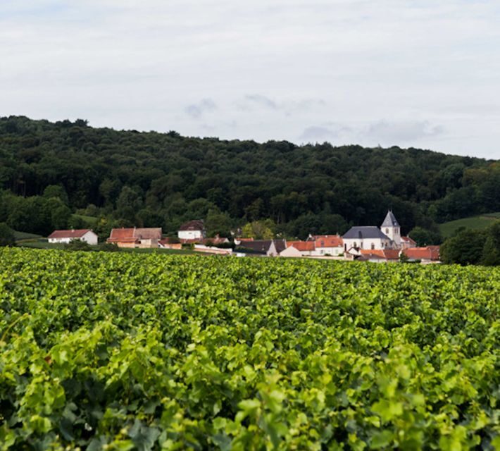 Champagne: Canard-Duchêne Champagne House Tour - FAQ