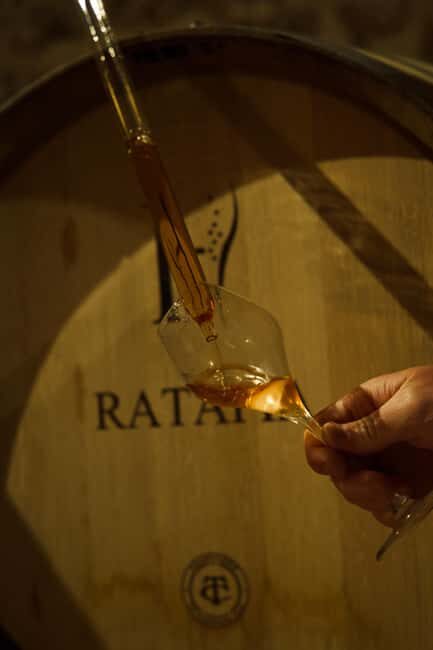 Champagne Cellar Experience: Explore our historic cellars - FAQ