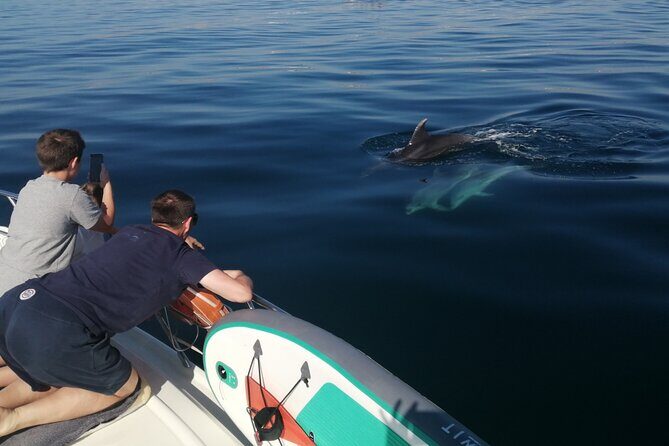 Champagne evening tour to ponta da piedade with drinks &tapas - Practical Details