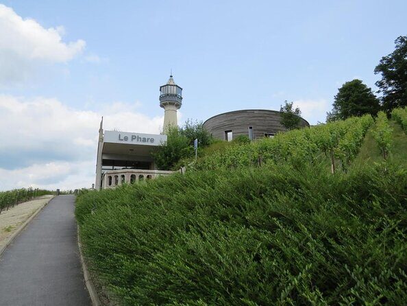 Champagne half-day tour - Discover the Charm of a Champagne Half-Day Tour in Reims