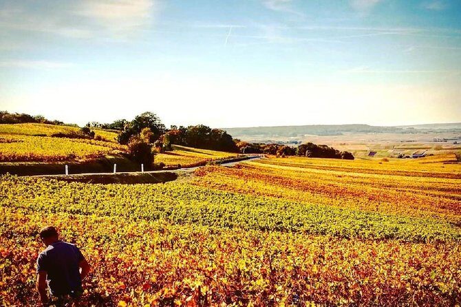 Champagne Moet and Chandon Private Tour with Tastings from Reims or Epernay - Frequently Asked Questions (FAQs)