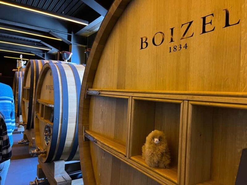 Champagne Private Day Trip: Epernay & Reims 9 glasses - Who Would Love This Tour