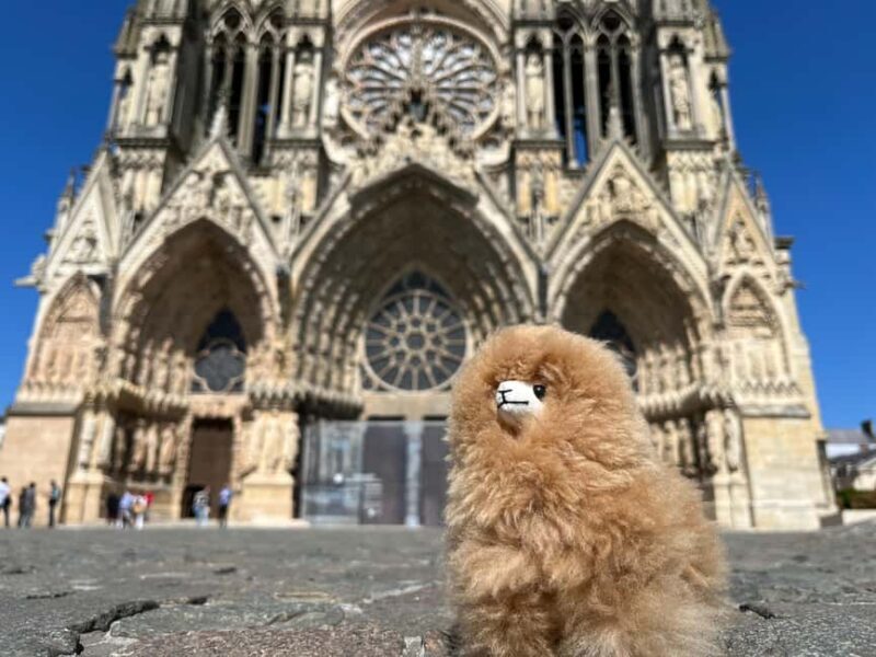 Champagne Private Day Trip: Epernay & Reims 9 glasses - FAQ