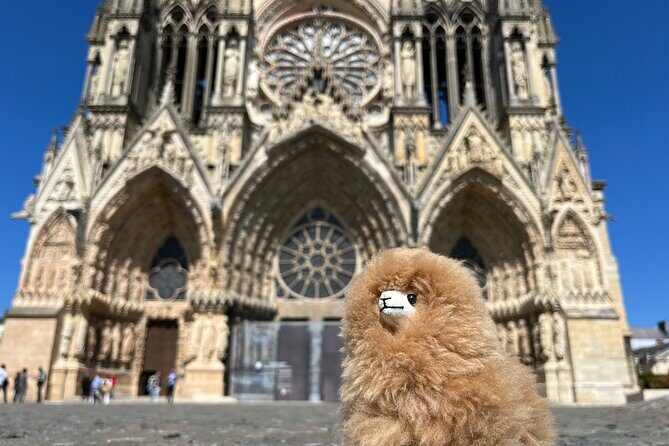 Champagne Private Guided Full-Day Trip Moët & Veuve Clicquot - Epernay for Lunch and Local Flavors