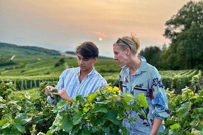 Champagne Private VIP Wine Day Trip with Michelin Lunch - The Itinerary in Detail: What You Can Expect