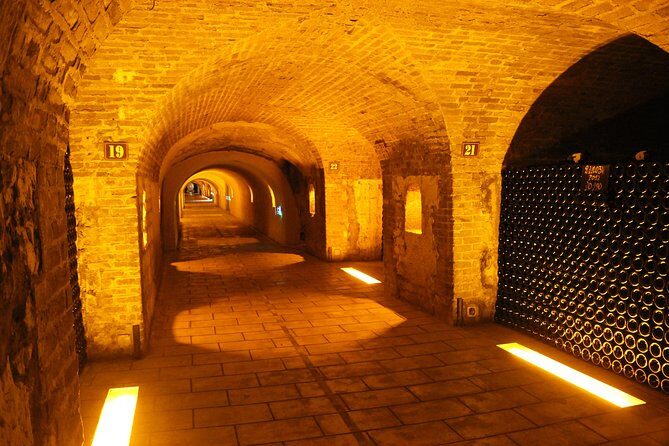 Champagne Private Wine Day Trip with Lunch and Wine Tastings - Final Thoughts: Who Will Love This Tour?
