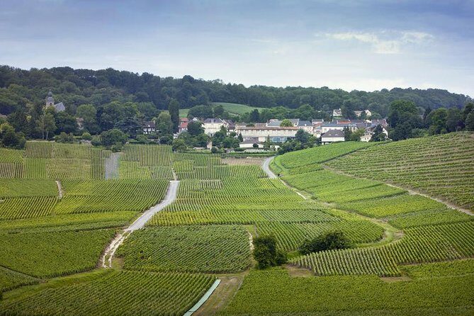 Champagne Region Private Day Trip from Paris - Champagne Region Private Day Trip from Paris