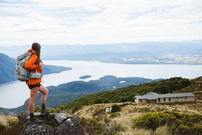 Champagne Sightseeing Cruise on Lake Te Anau - Reviews: Authentic Voices