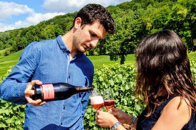 Champagne Small-Group Day Trip with Wine Tastings and Lunch - Who should book this?