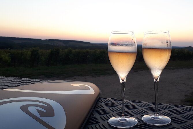 Champagne tasting, panoramic walk in the vineyards - FAQs