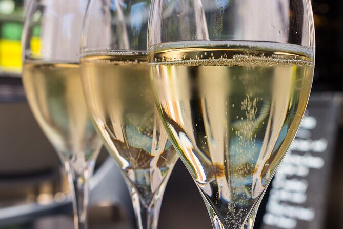 Champagne Tasting Tour Day Trip From Paris - Who Will Love This Tour?