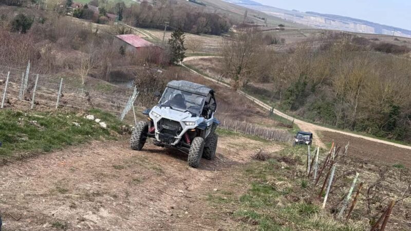 Champagne vineyards: 2-hour guided tour of the vineyards in a Buggy - Exploring Champagne Vineyards by Buggy: A Detailed Review