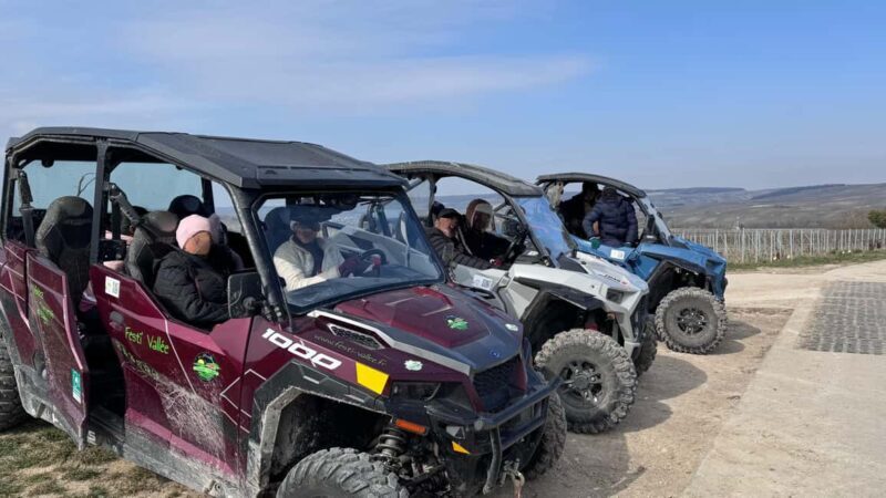 Champagne vineyards: 2-hour guided tour of the vineyards in a Buggy - What Makes This Tour Special?