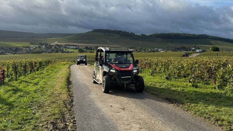 Champagne vineyards: 2-hour guided tour of the vineyards in a Buggy - Practical Details and Considerations