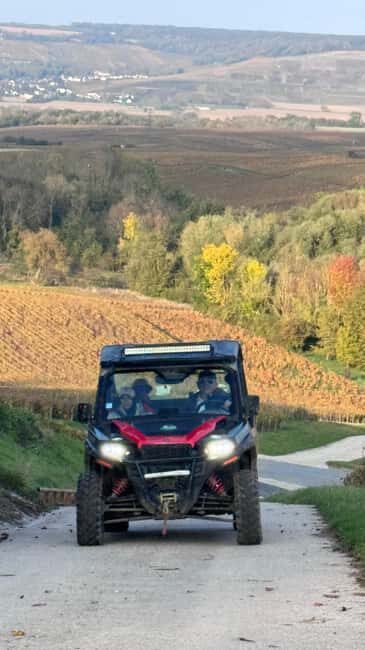 Champagne vineyards: 2-hour guided tour of the vineyards in a Buggy - Final Thoughts: Is This Tour Worth It?