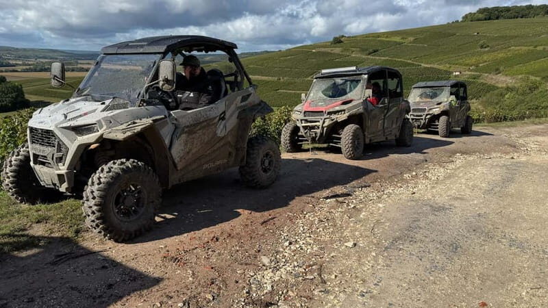 Champagne vineyards: 2-hour guided tour of the vineyards in a Buggy - FAQ: Common Questions About the Champagne Buggy Tour
