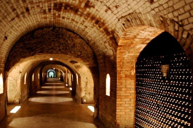 Champagne VIP Day Trip from Paris With Local PRIVATE Wine Expert Guide - An Authentic Look at the Champagne Day Trip