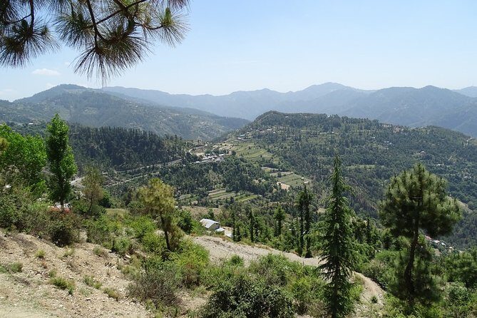Chandigarh to Shimla Hill Station 4-Days Private Tour - The Itinerary in Detail
