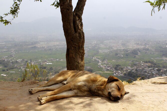 Changunarayan Hill to Telkot Hike Near Kathmandu Day Tour - Practical Info & Tips