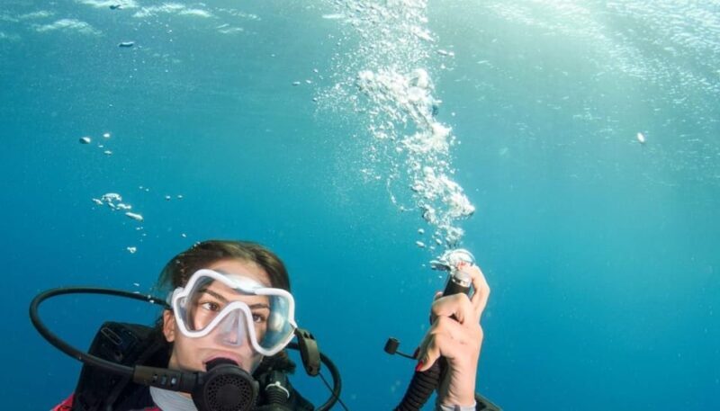 Chania: 2 Boat Dives for Certified Divers - The Sum Up