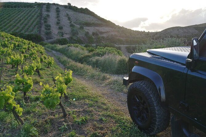 Chania 4x4 Sunset Safari Tour - What Makes This Tour Stand Out?