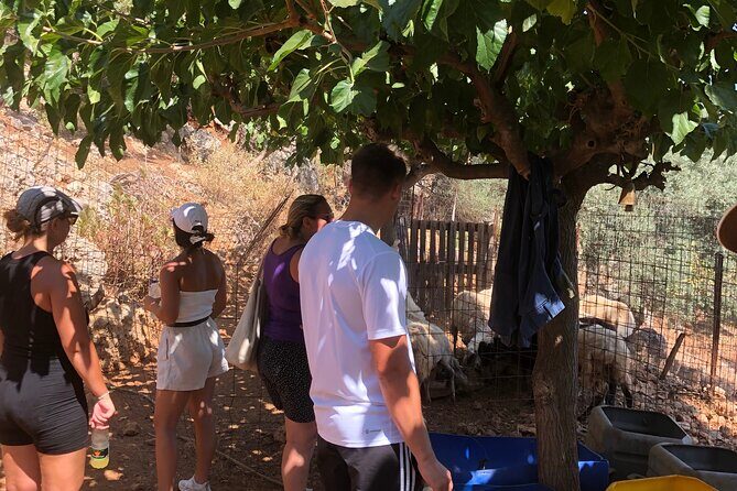 Chania Area: Cooking Class at a Farm in Stylos Village (organic) - Final Thoughts