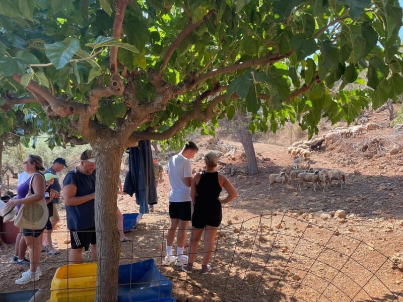 Chania Area: Cooking Class at a Farm in Stylos Village - Final Thoughts