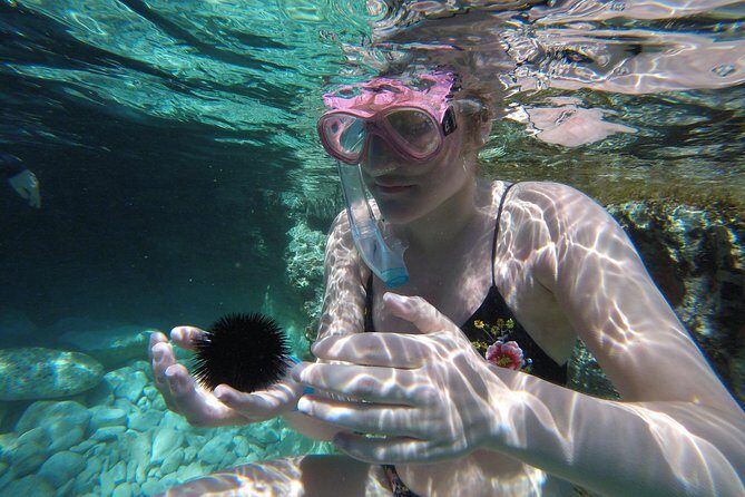 Chania: Boat Trip with Guided Snorkeling Tour & SUP - Who Is This Tour Best For?