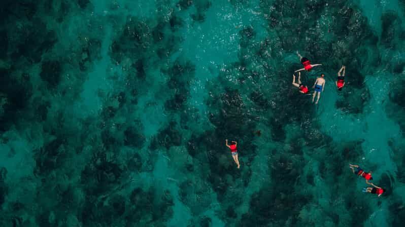 Chania: Boat Trip with Guided Snorkeling Tour - A Closer Look at the Snorkeling Adventure