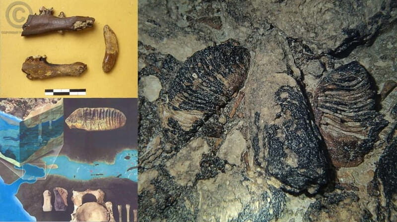 Chania: Diving Trips for Certified Divers - A Closer Look at the Experience