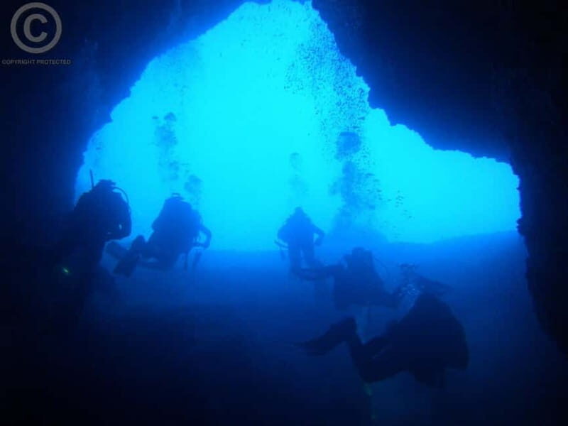 Chania: Diving Trips for Certified Divers - The Wall Dive & Artificial Reefs