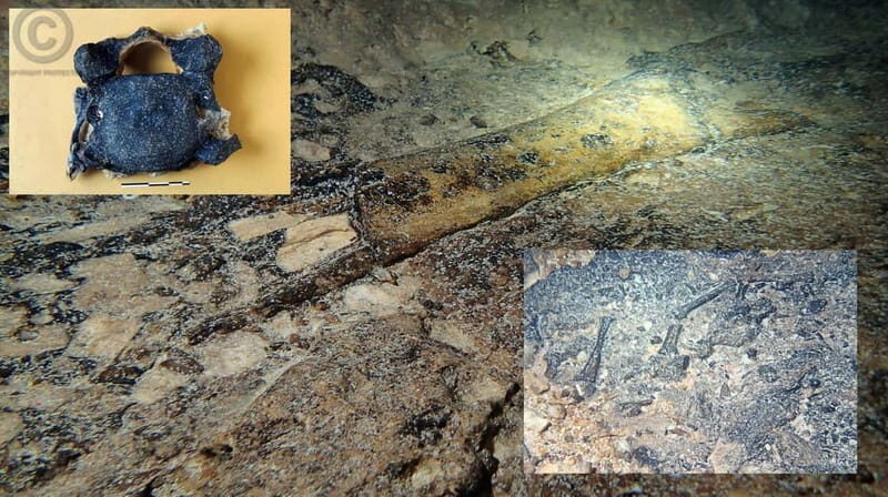 Chania: Diving Trips for Certified Divers - Why We Think This Tour Shines