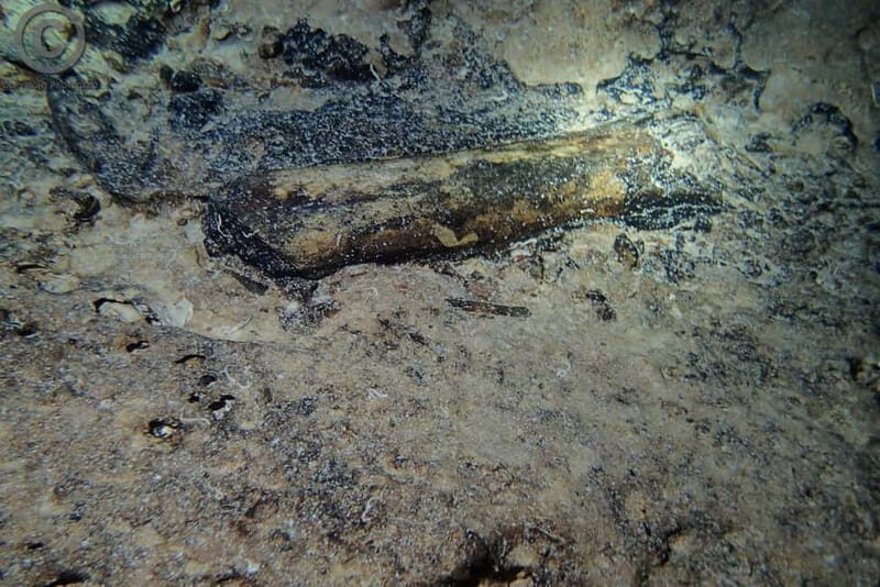 Chania: Diving Trips for Certified Divers - Who Should Consider This Tour?