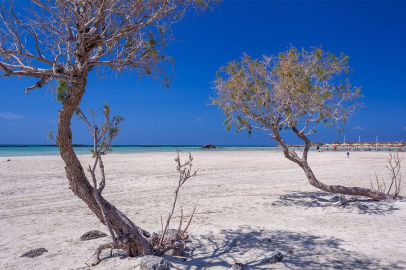 Chania: Elafonisi and Milia Mountain with Loungers and Lunch - Key Points