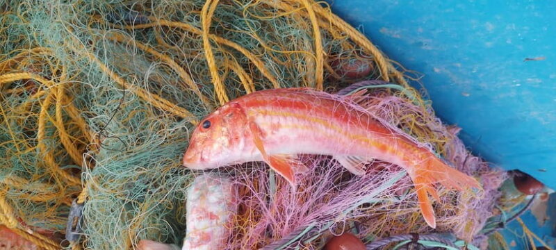 Chania Fishing with Nets: Catch&Cook with a Local Fisherman - An In-Depth Look at the Chania Fishing with Nets Tour