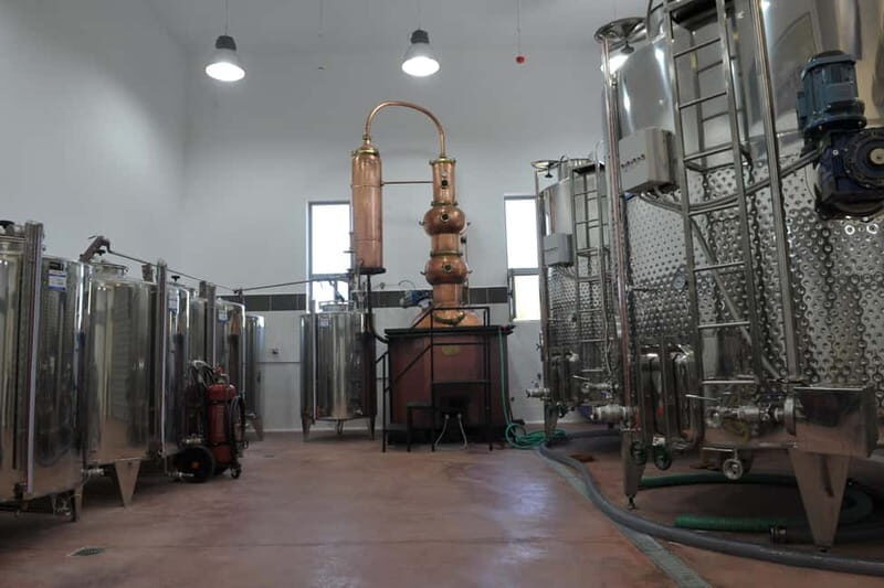 Chania: Full-Day Vineyard & Winery Private Tour w/ Tastings - An In-Depth Look at the Tour Experience