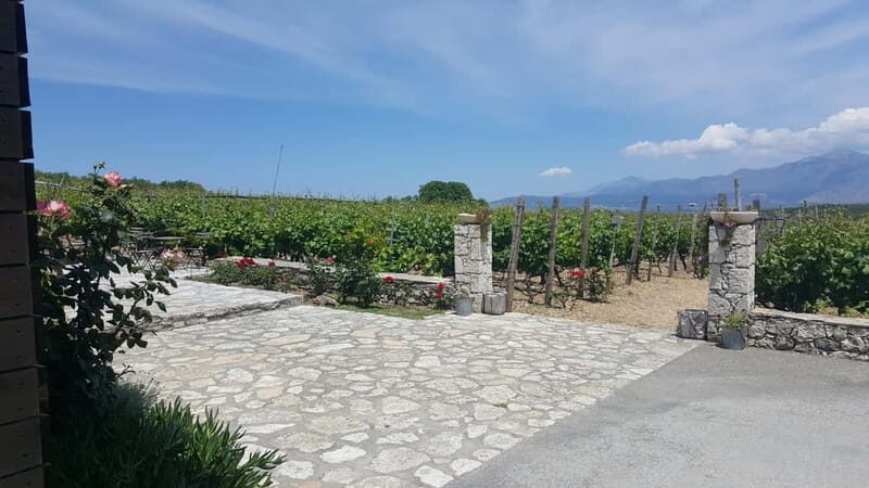 Chania: Full-Day Vineyard & Winery Private Tour w/ Tastings - FAQ