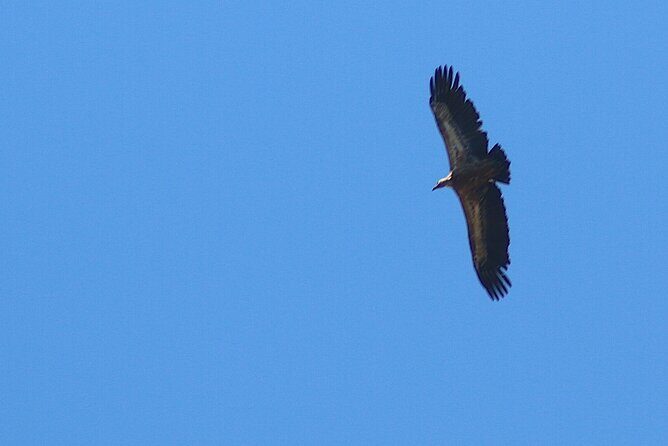 Chania Nature & Villages, White Mountains & Unique Cretan Lunch - The Sum Up