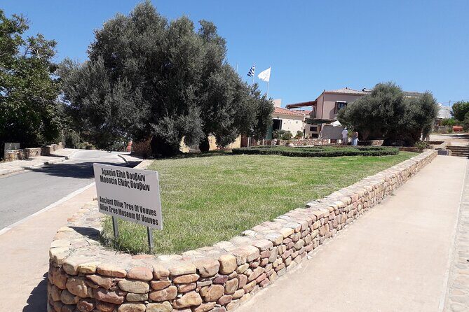 Chania Old Town - Millennial Olive Tree - Olive Oil Mill - Traditional Olive Oil Production at Astrikas Estate: A Hands-On Experience