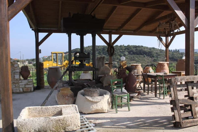Chania: Olive Harvest Day Trip with Guide & Transport - Traditional Village Lunch