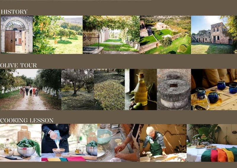 Chania: Olive Oil Tasting & Cooking Class at Metohi Istoria - Key Points