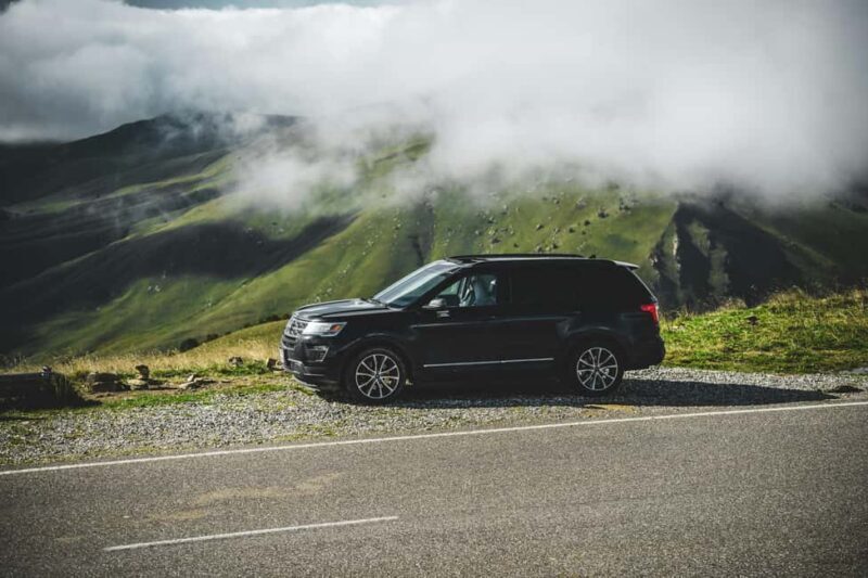 Chania Olive Tour: 3,000-Year-Old Tree, Museum &Organic Mill - Exploring Crete’s Olive Heritage: The Chania Olive Tour