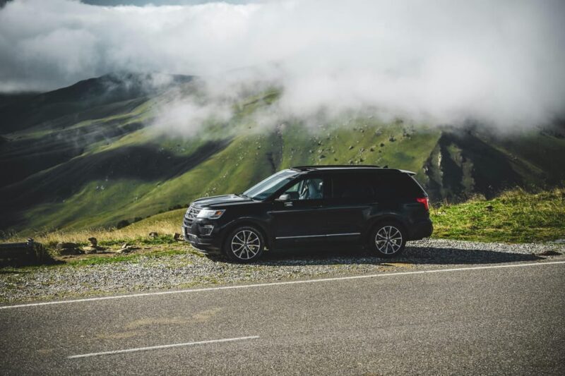 Chania Olive Tour: 3,000-Year-Old Tree, Museum &Organic Mill - Key Points