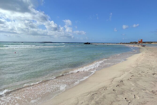 Chania Pink Beaches Private Tour: Elafonisi & Falassarna - A Deep Dive into the Tour Experience