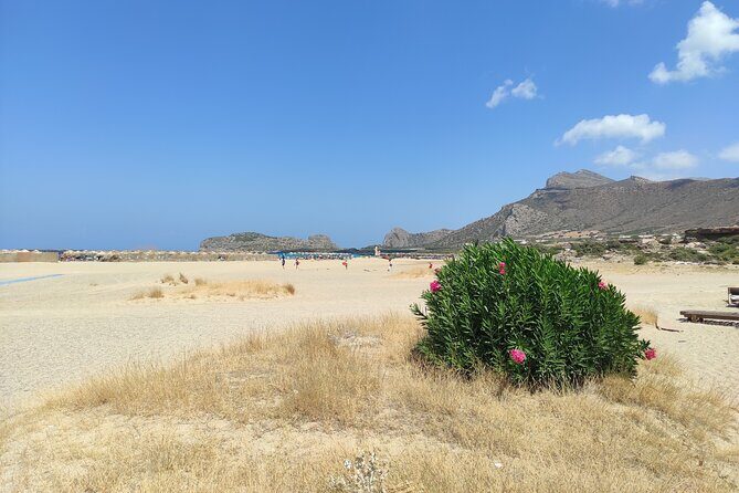 Chania Pink Beaches Private Tour: Elafonisi & Falassarna - Who Should Consider This Tour?