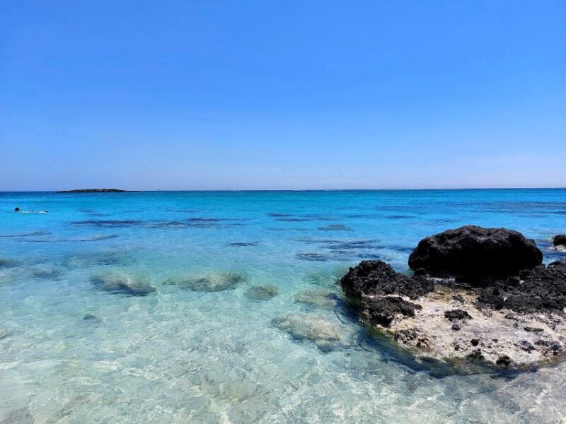 Chania Pink Sand Beaches Private Tour: Elafonisi & Falasarna - Final Thoughts